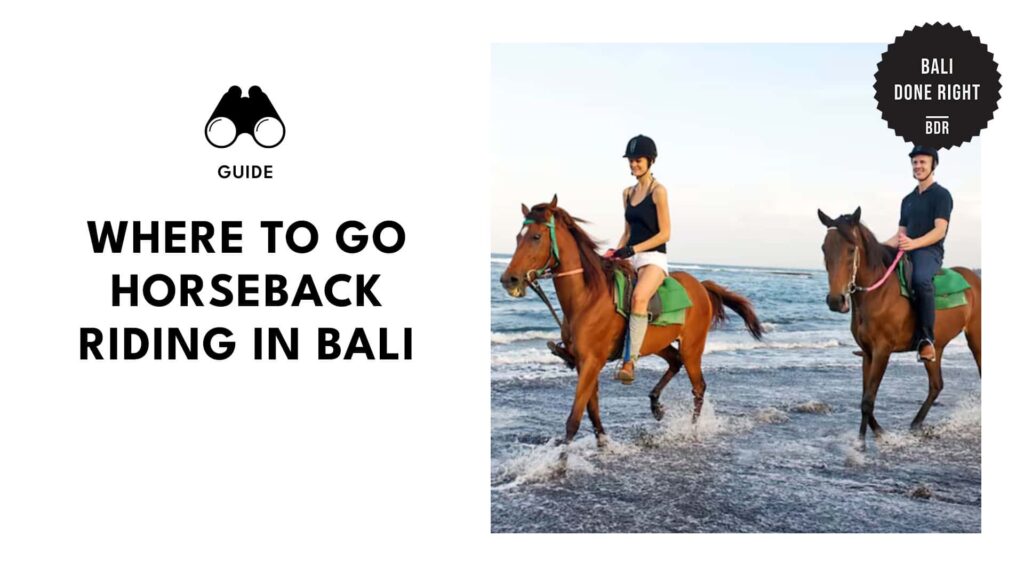Gallop Through Bali: Top 10 Riding Locations Revealed! [2026]