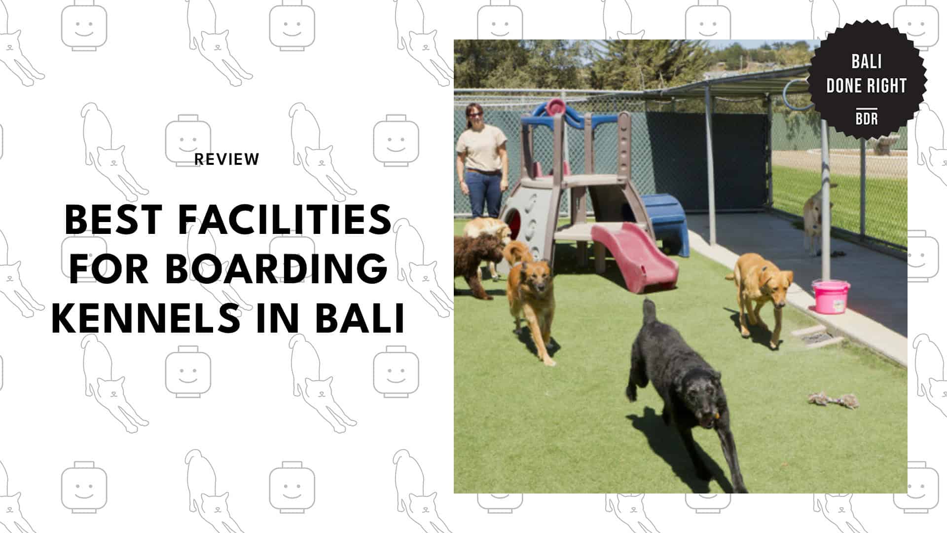 pet-boarding-kennels-in-bali