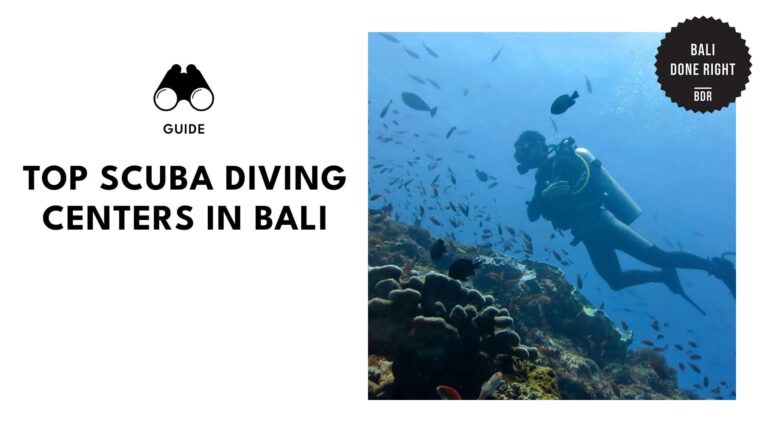 16 Bali Dive Shops to Make You Fall In Love with the Sea [2026 ]