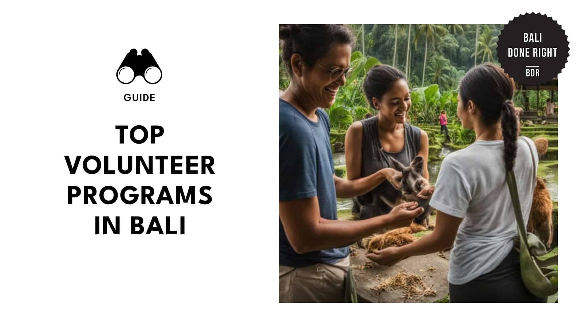 volunteer-programs-in-bali