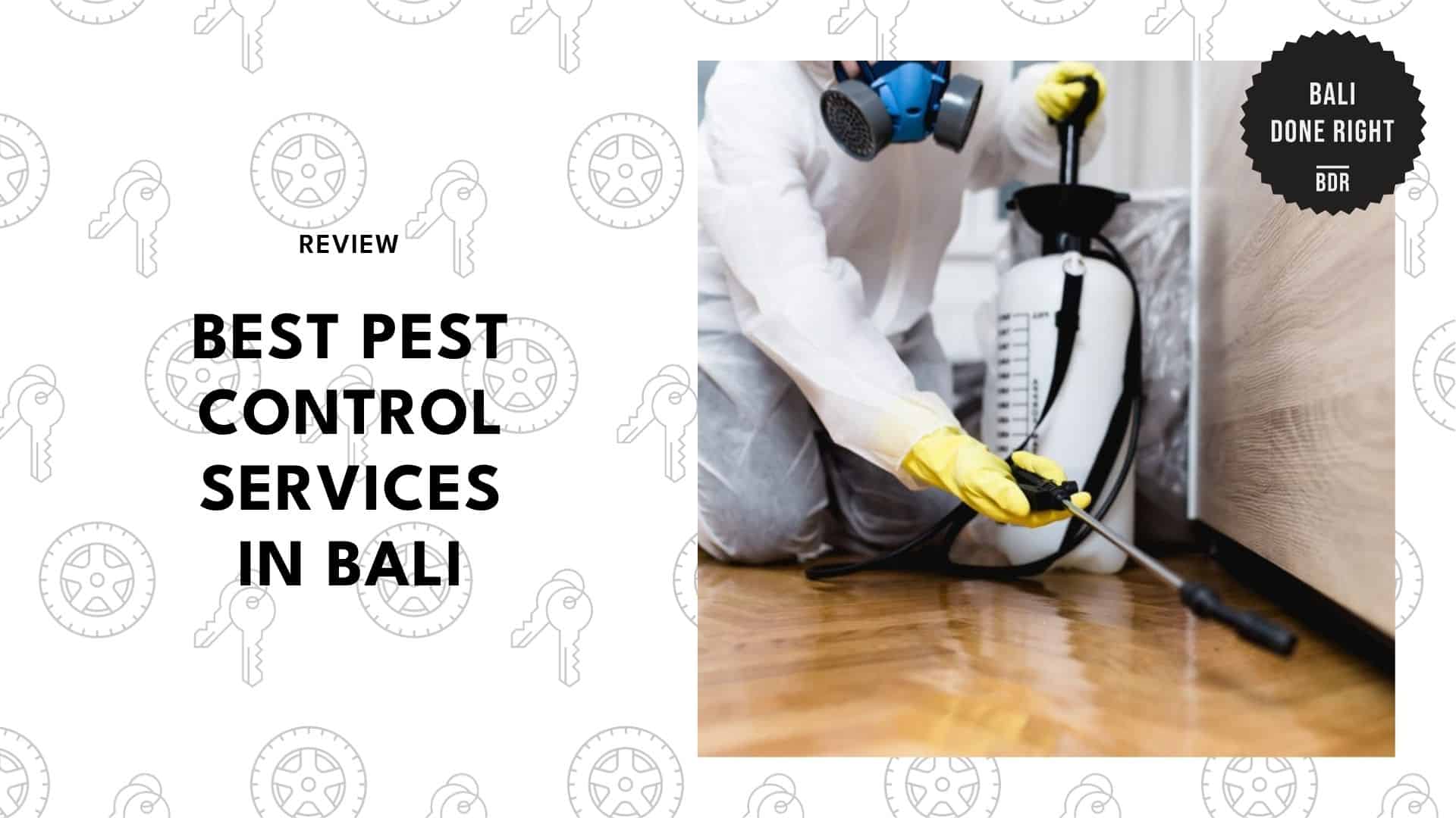 pest-control-in-bali