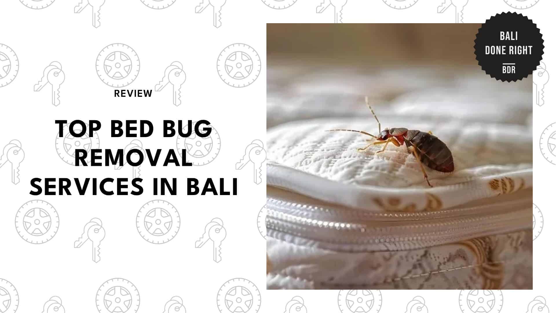 bed-bug-removers-in-bali