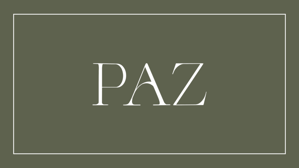 paz-studio