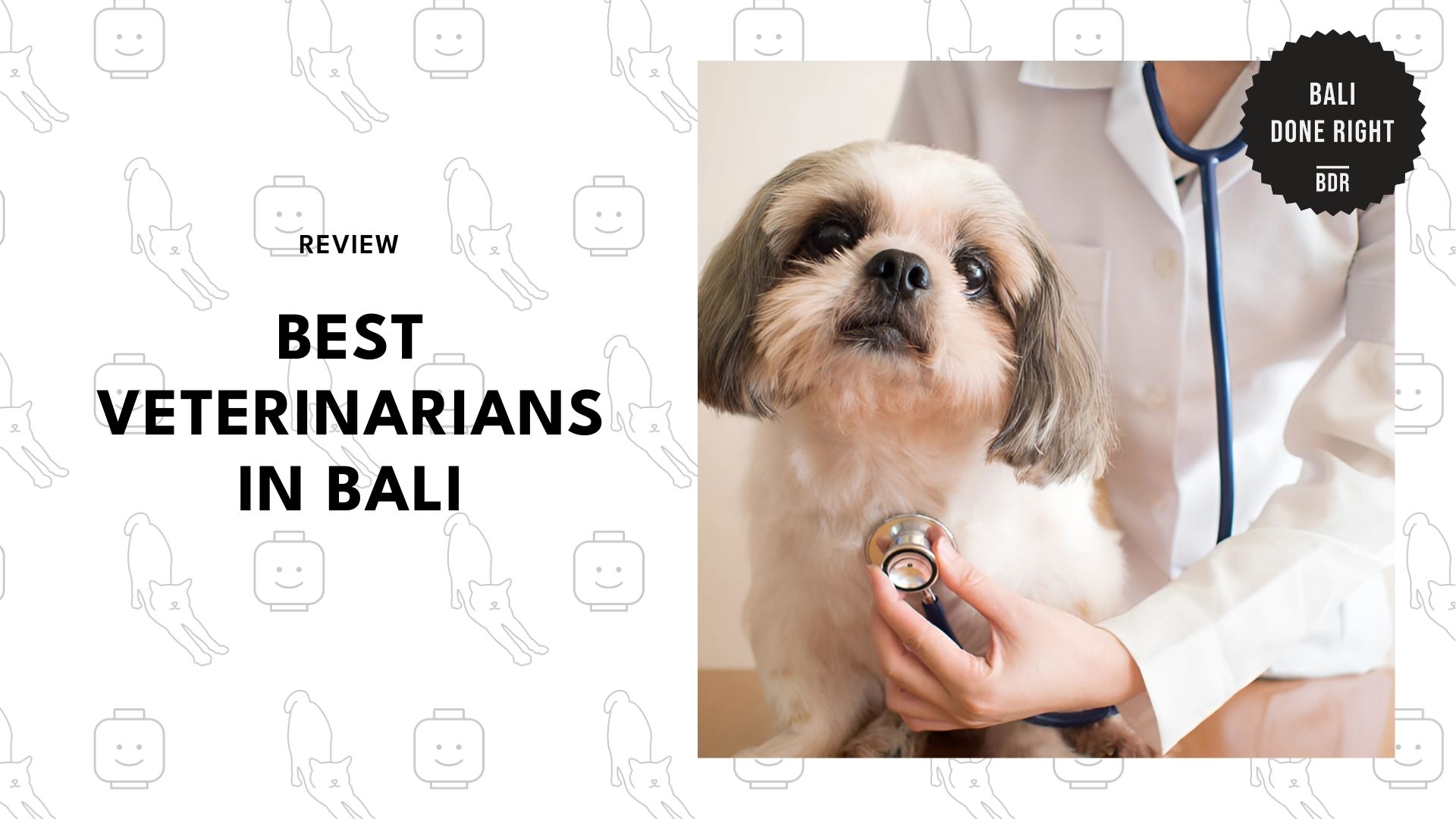 best-veterinarians-bali-banner