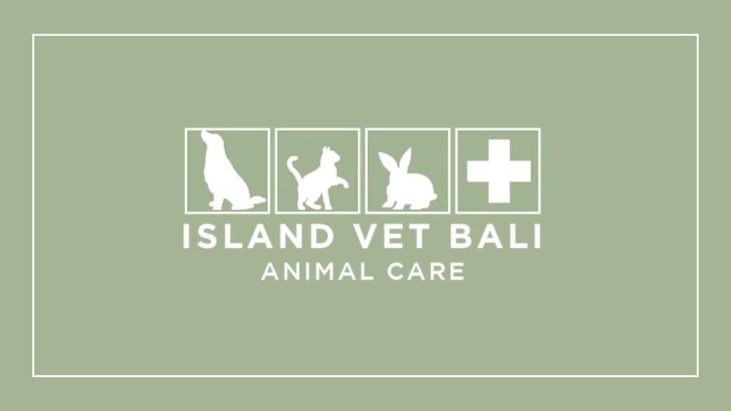 island-vet-bali-logo