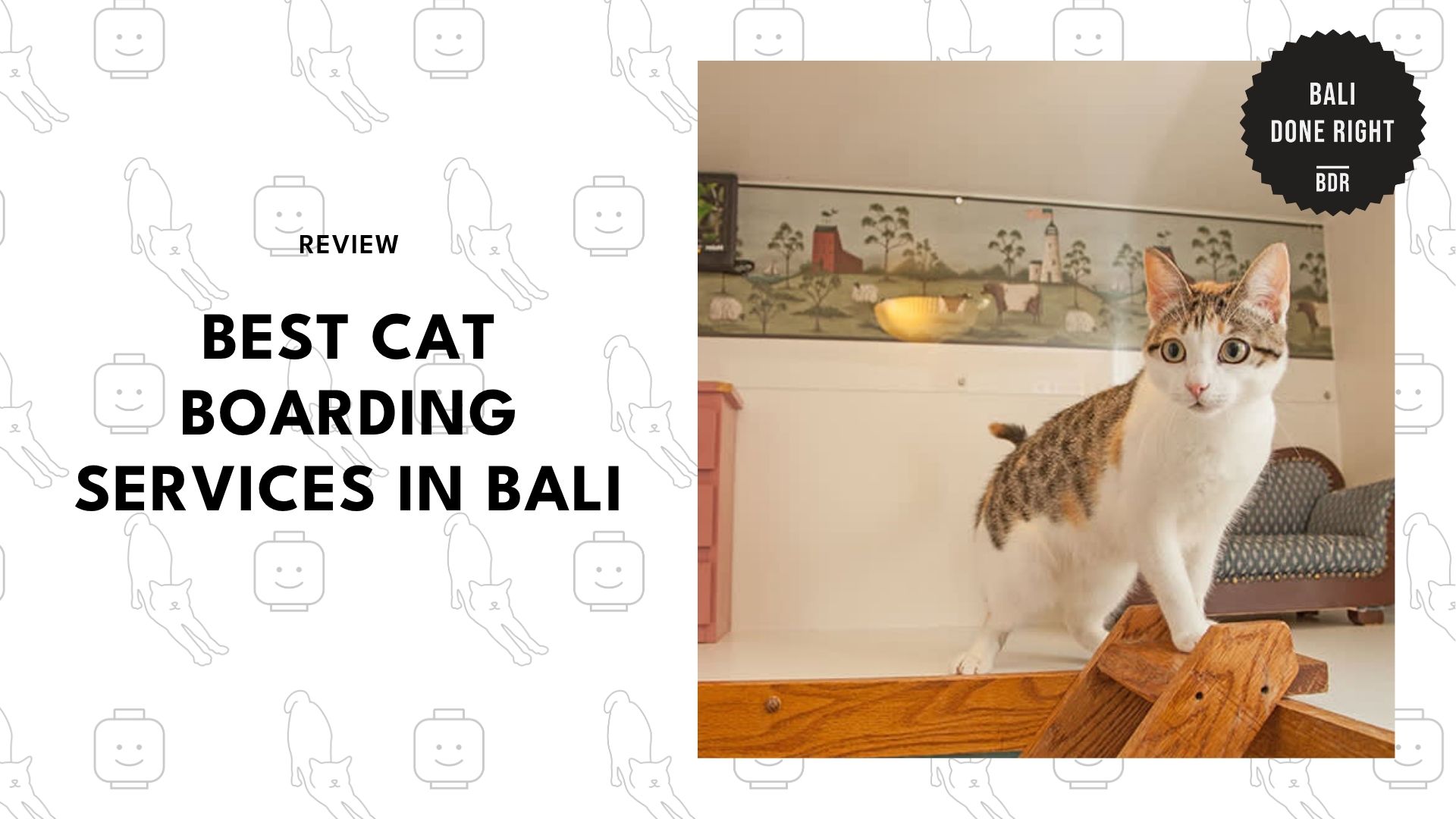 cat-boarding-bali-banner