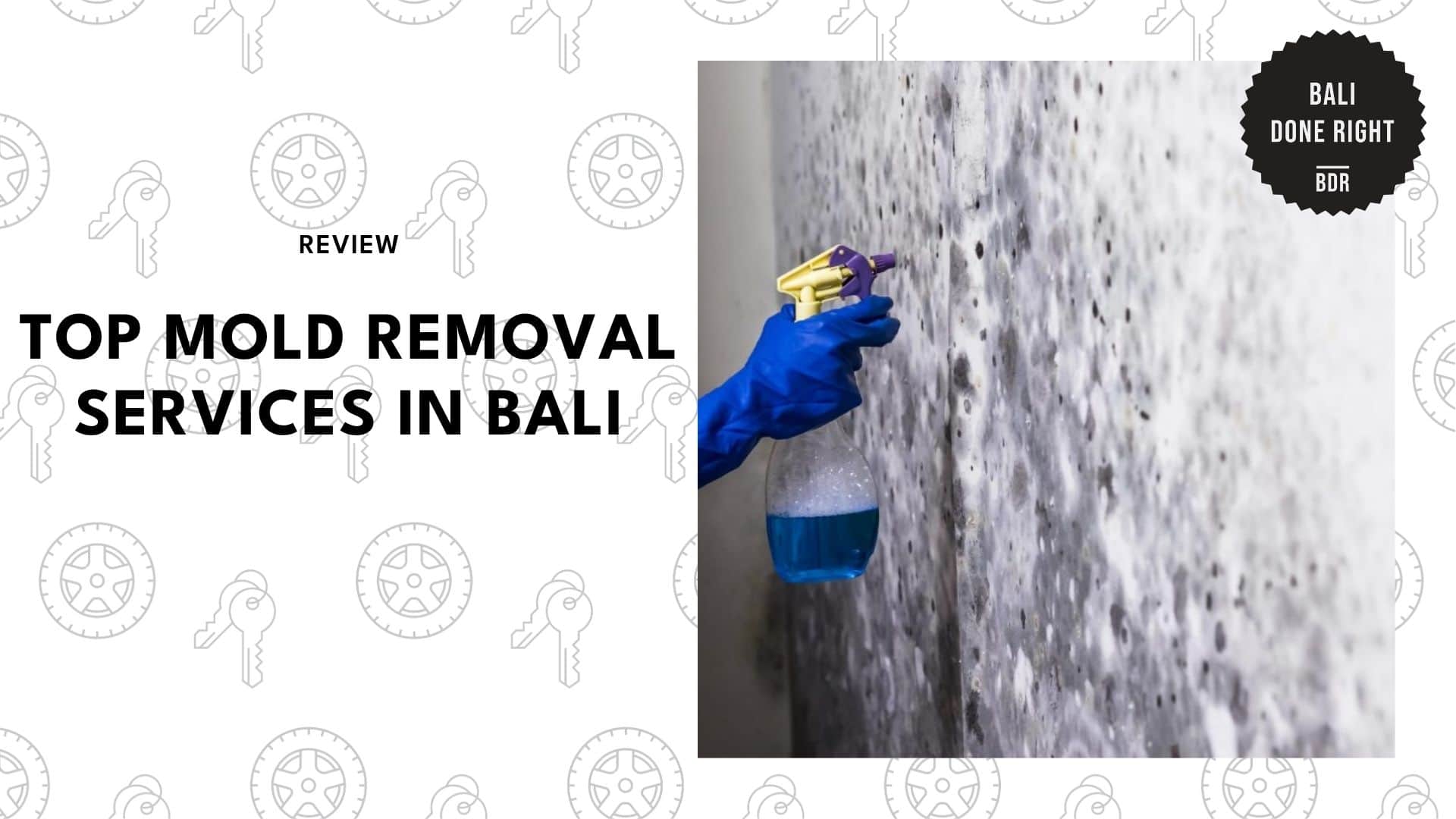 best-mold-removal-bali