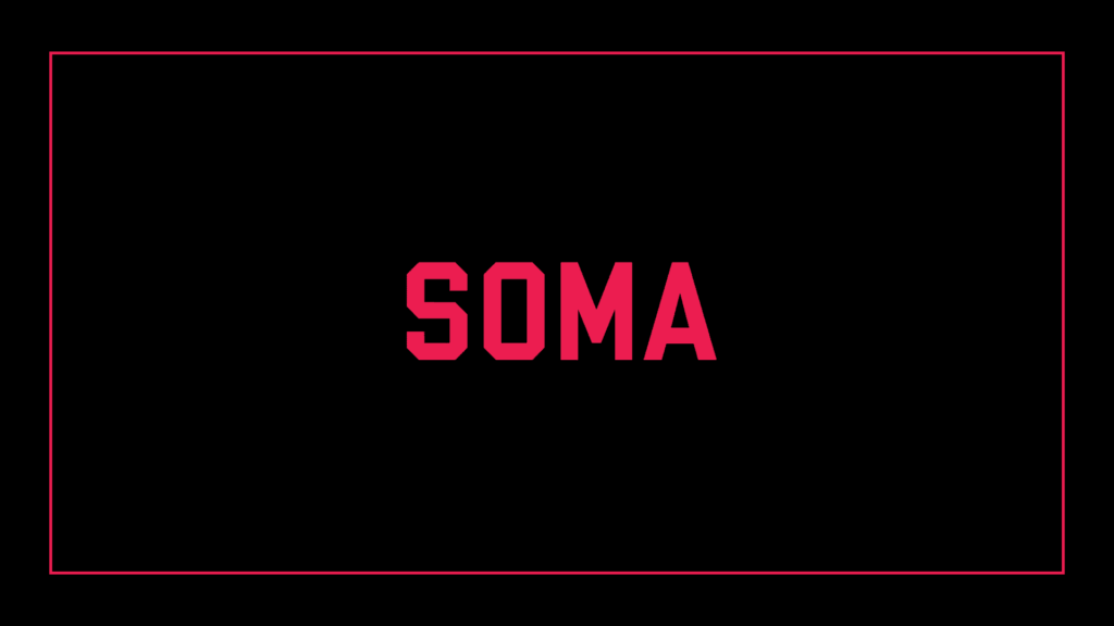 soma-fight-club