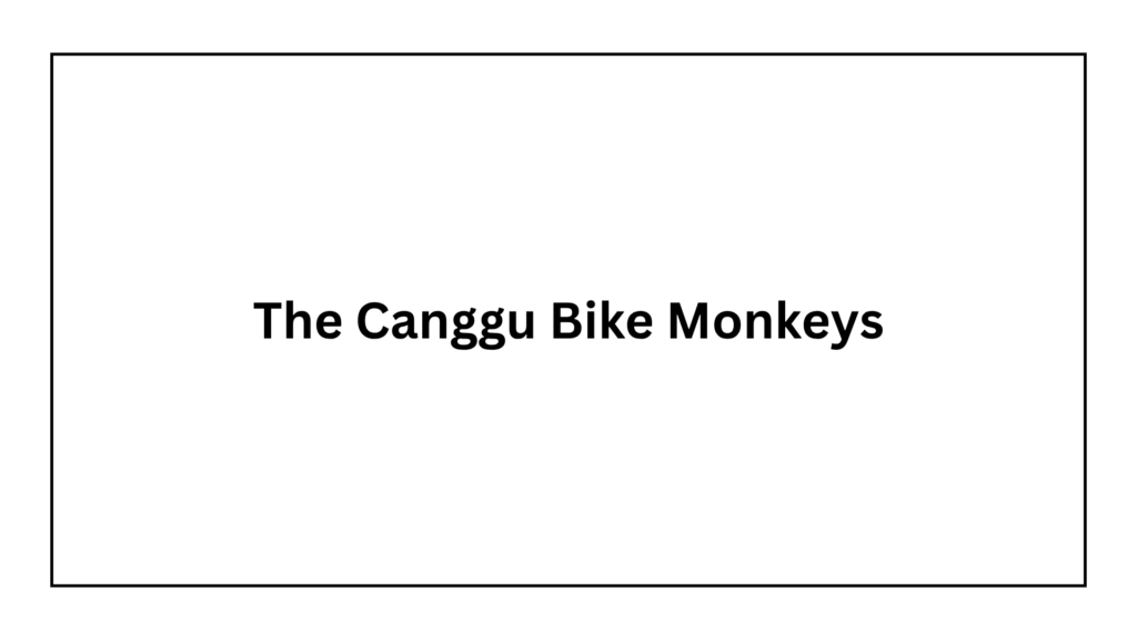 the-canggu-bike-monkeys-logo