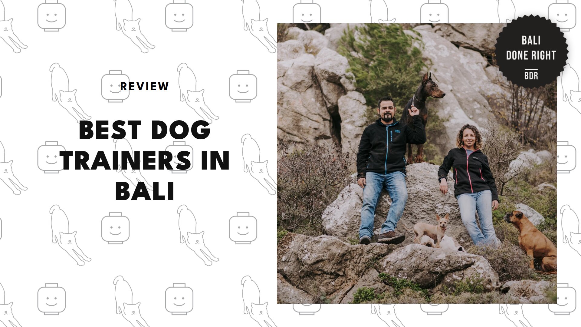 best-dog-trainers-bali-banner
